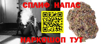 СК Конаково