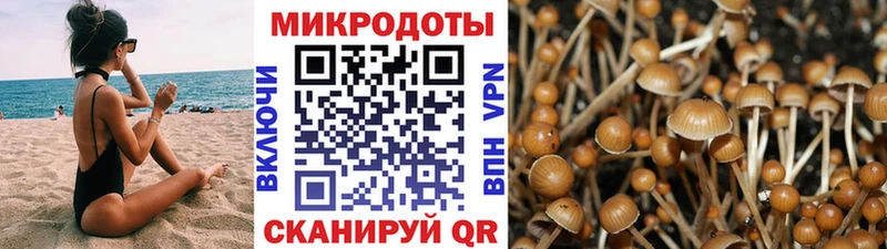 маркетплейс Telegram  MEGA tor  Сунжа  Псилоцибиновые грибы мицелий 