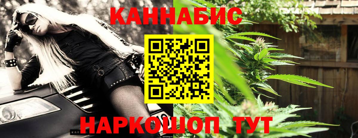 Канабис ГИДРОПОН Сунжа